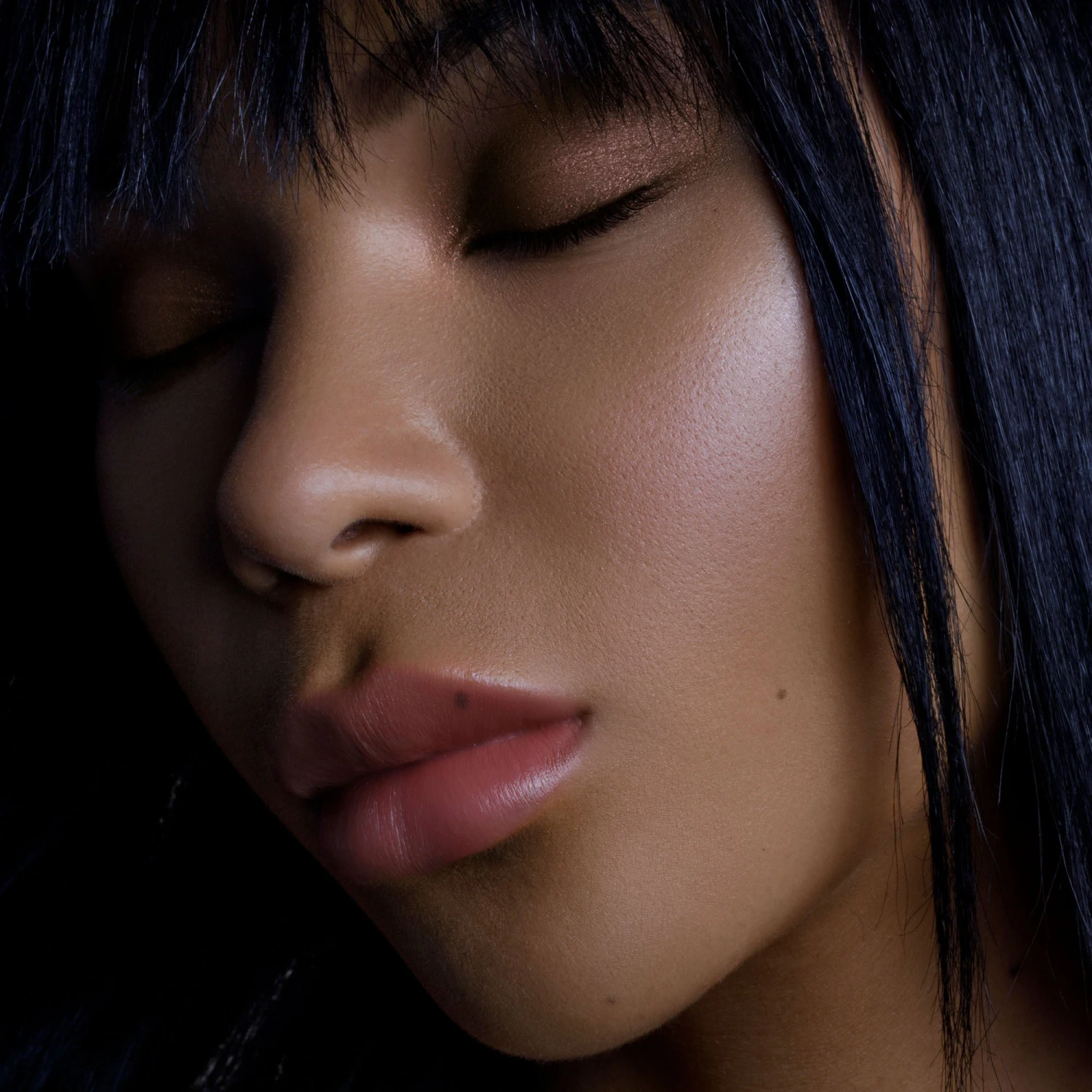 Artistry Set: The Biome - Image 7