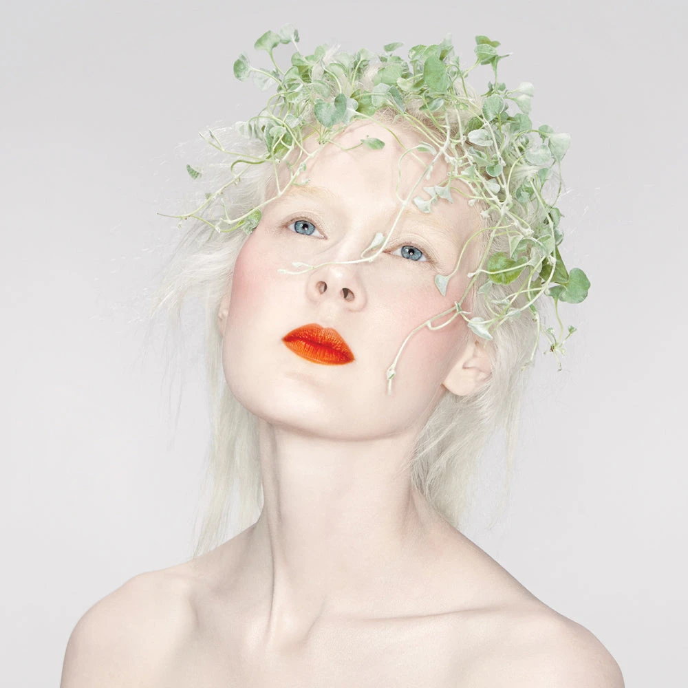 Color Set: Bloodroot + Rose Pinch - Image 2