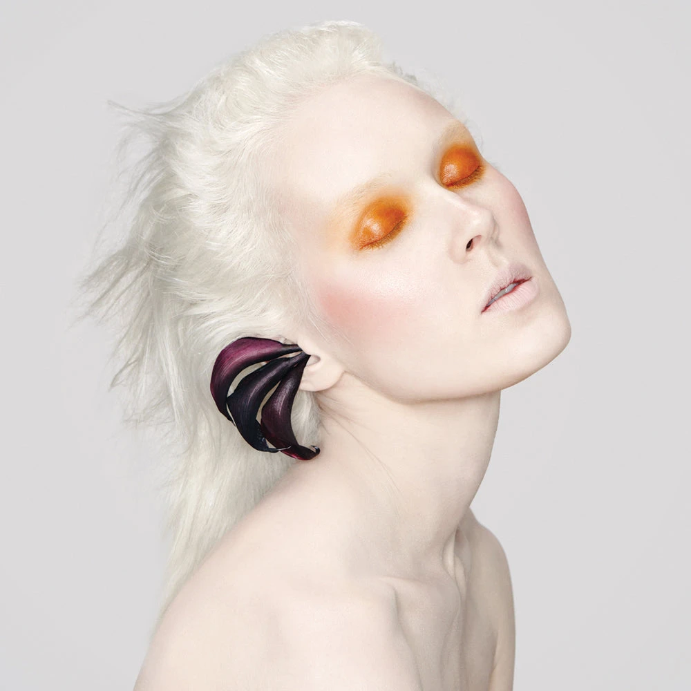 Color Set: Bloodroot + Rose Pinch - Image 3