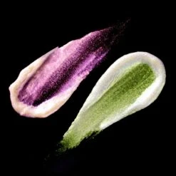 Color Set: The Chimera + The Faun (Metamorphic Highlighter)