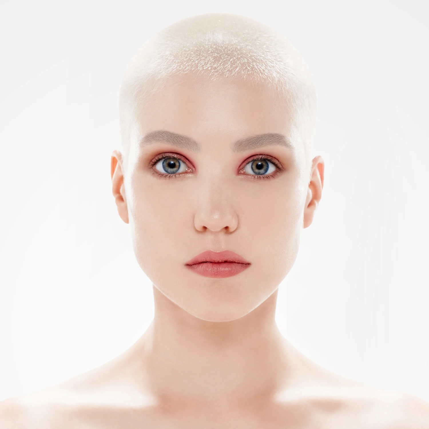 Color Set: Whitethorn + Rose Crush - Image 3